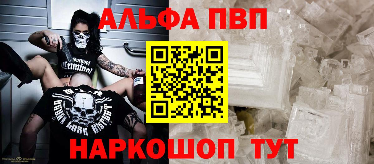 Alfa_PVP СК КРИС Карачаевск