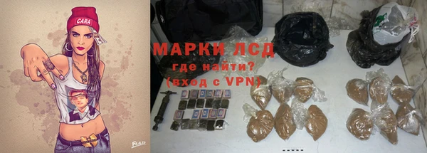spice Алзамай