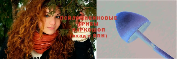 стафф Алексеевка