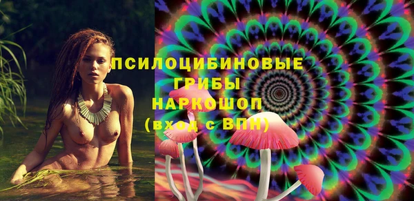 стафф Алексеевка