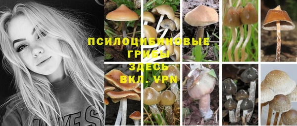 стафф Алексеевка