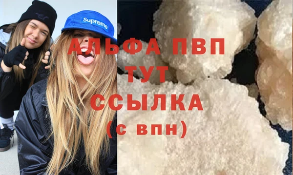 spice Алзамай