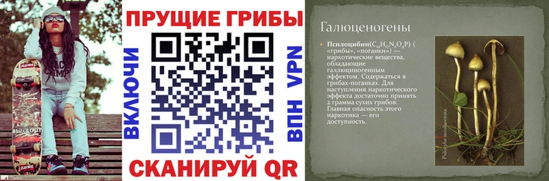 Галлюциногенные грибы мицелий  даркнет сайт  Карачаевск 