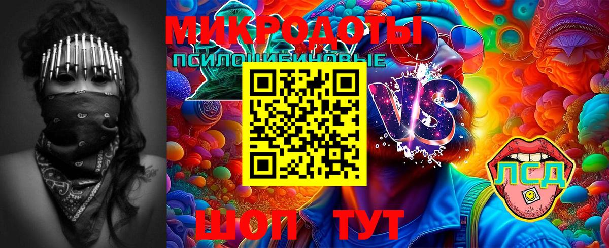 Псилоцибиновые грибы Psilocybine cubensis  Вход с VPN  Карачаевск 