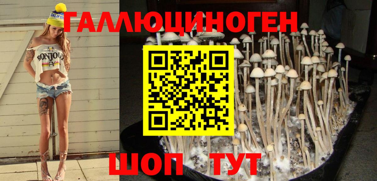 Галлюциногенные грибы GOLDEN TEACHER Карачаевск